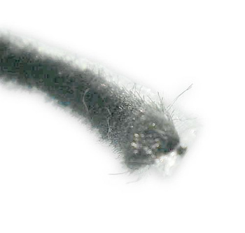 Uszczelka szczotkowa 4.0 mm do moskitiery, wsuwana - 1 mb.