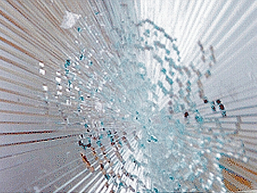 Folia antywłamaniowa 360 µm Amkafolie® 12MIL przeźroczysta szer. 1524 mm x 31.00 mb
